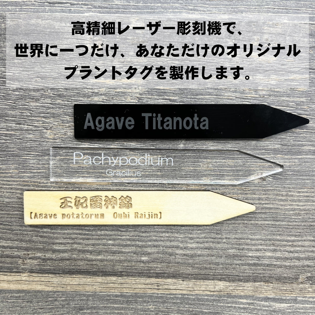 Plants ID プランツID 植物の オリジナル ネームタグ 刻印 – Tool Shop
