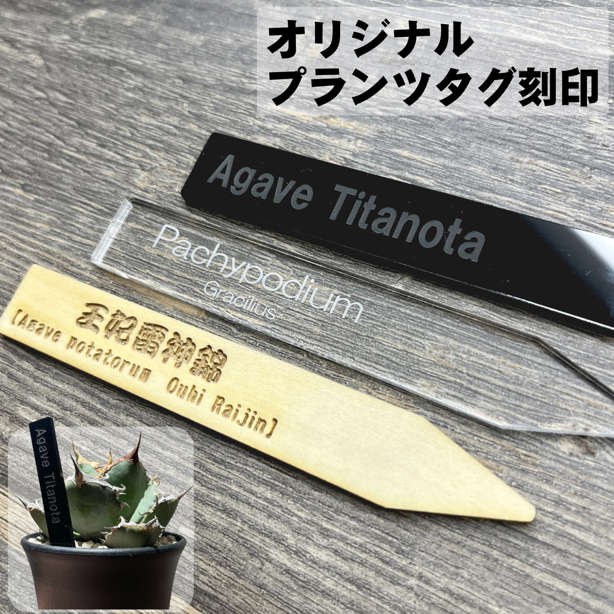 Plants ID プランツID 植物の オリジナル ネームタグ 刻印 – Tool Shop
